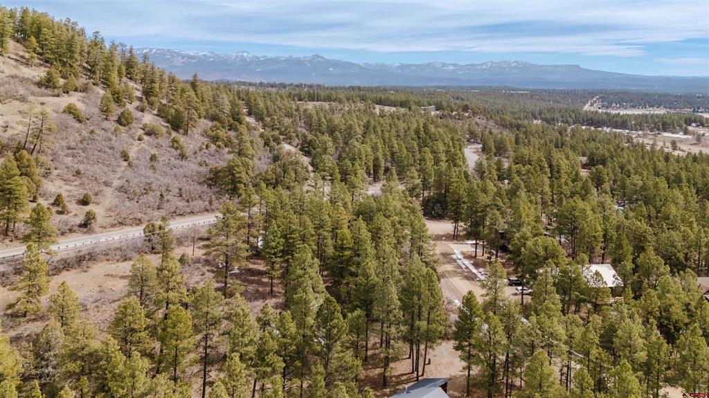 25 Woodland Drive Pagosa Springs CO 81147