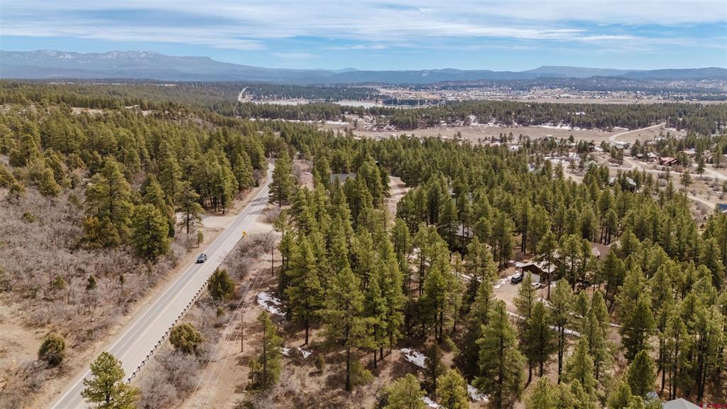25 Woodland Drive Pagosa Springs CO 81147
