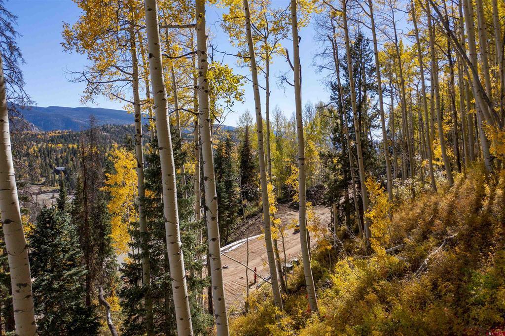 97 Catharsis Court Durango CO 81301