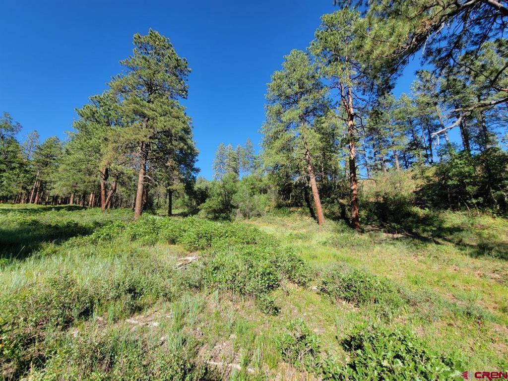 X Catchpole Drive Pagosa Springs CO 81147