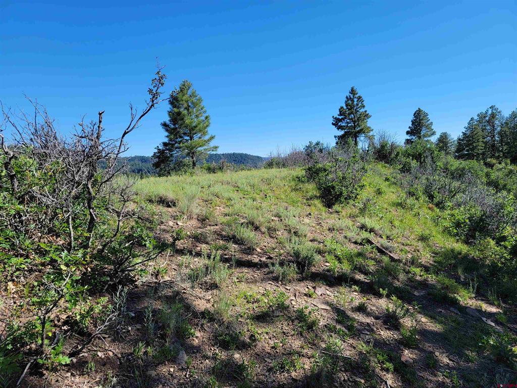 X Catchpole Drive Pagosa Springs CO 81147