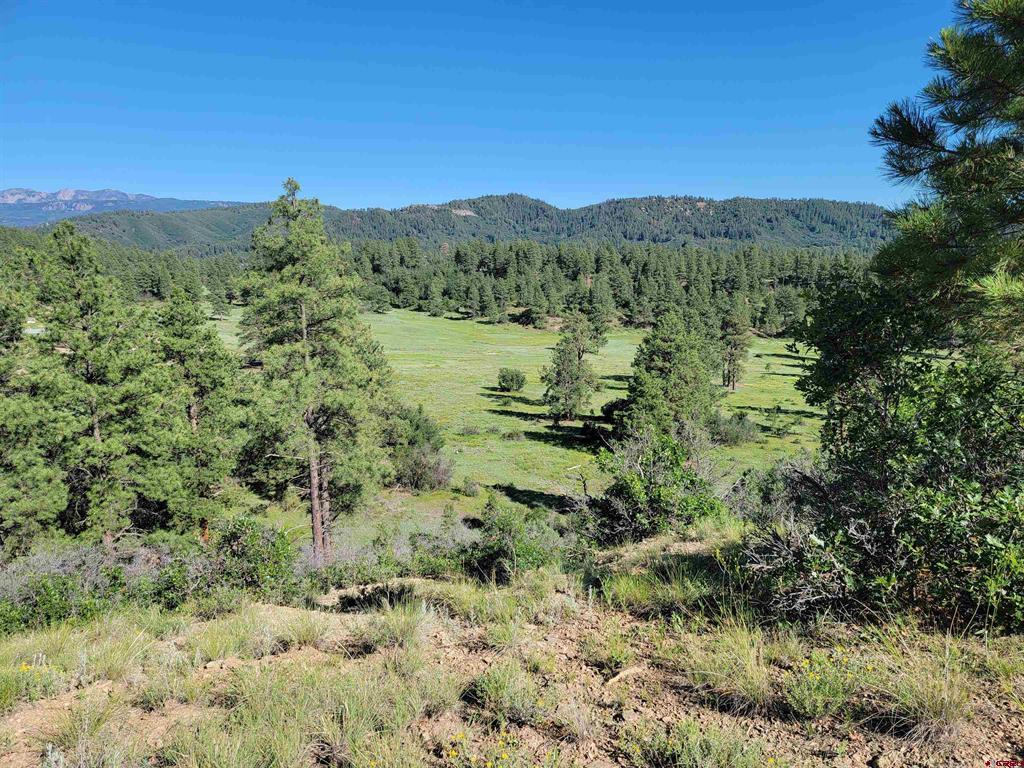 X Catchpole Drive Pagosa Springs CO 81147