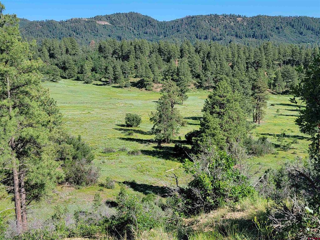 X Catchpole Drive Pagosa Springs CO 81147