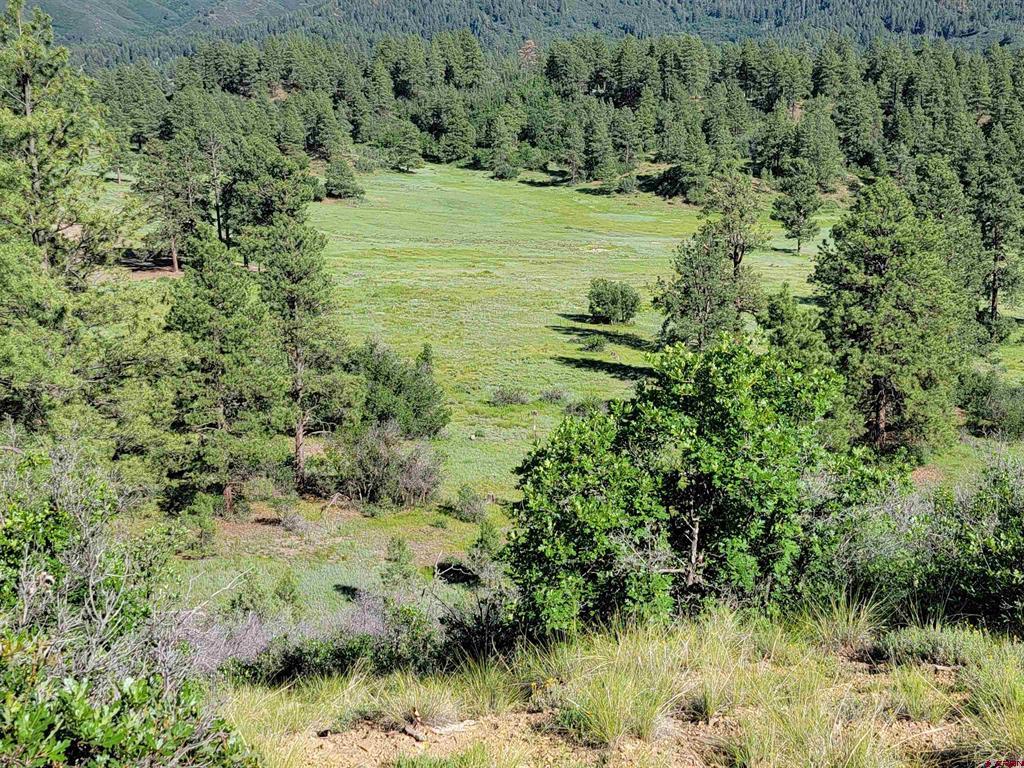 X Catchpole Drive Pagosa Springs CO 81147