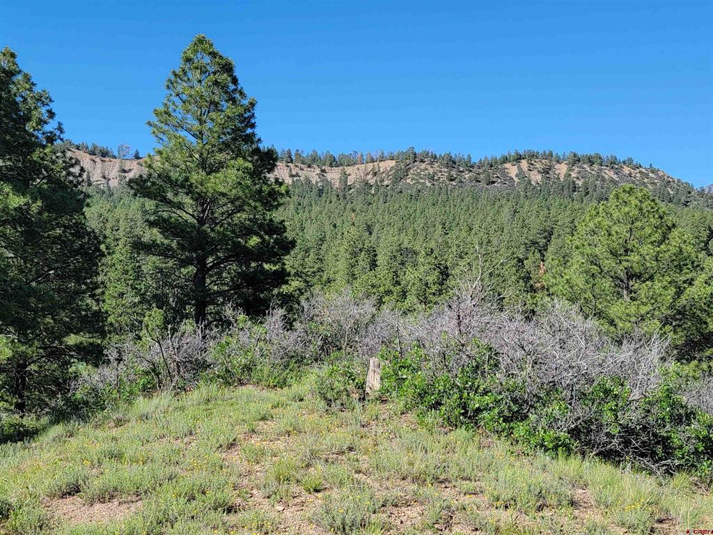 X Catchpole Drive Pagosa Springs CO 81147