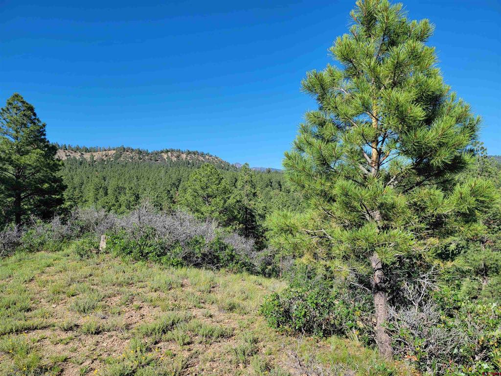 X Catchpole Drive Pagosa Springs CO 81147