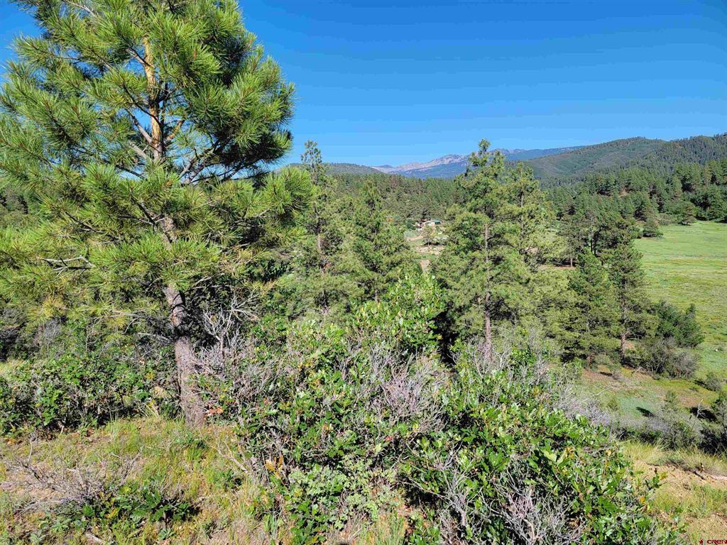 X Catchpole Drive Pagosa Springs CO 81147