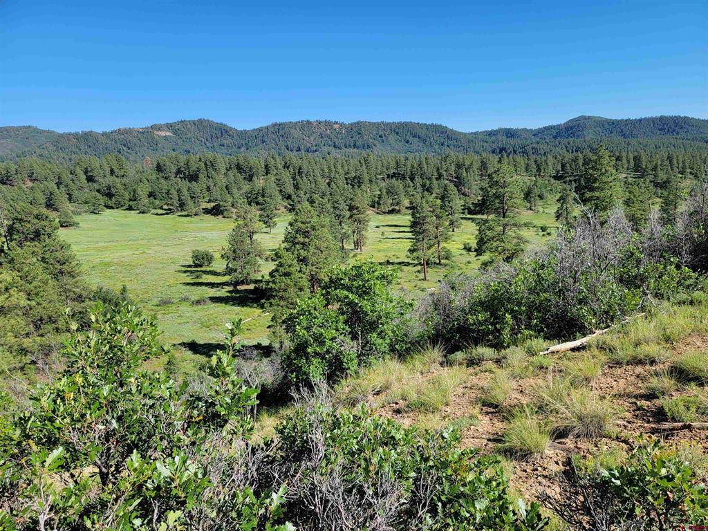 X Catchpole Drive Pagosa Springs CO 81147