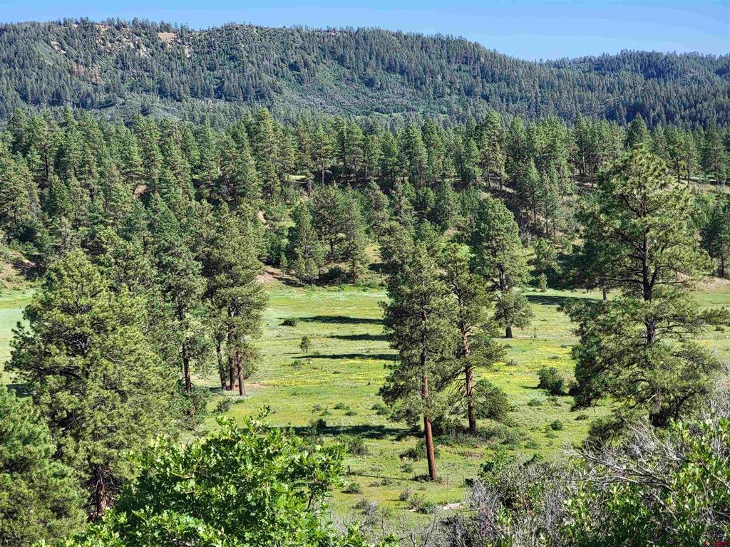 X Catchpole Drive Pagosa Springs CO 81147