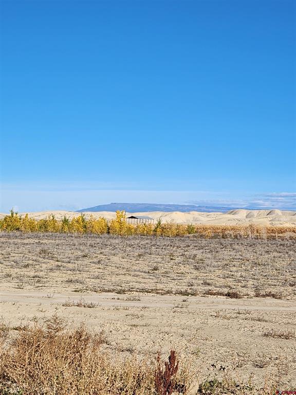 Lot 2 Peach Valley Road Montrose CO 81401