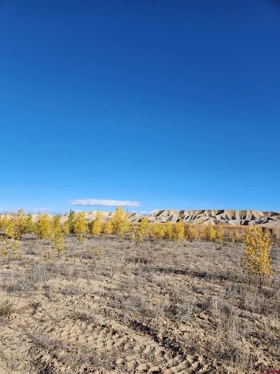 Lot 2 Peach Valley Road Montrose CO 81401