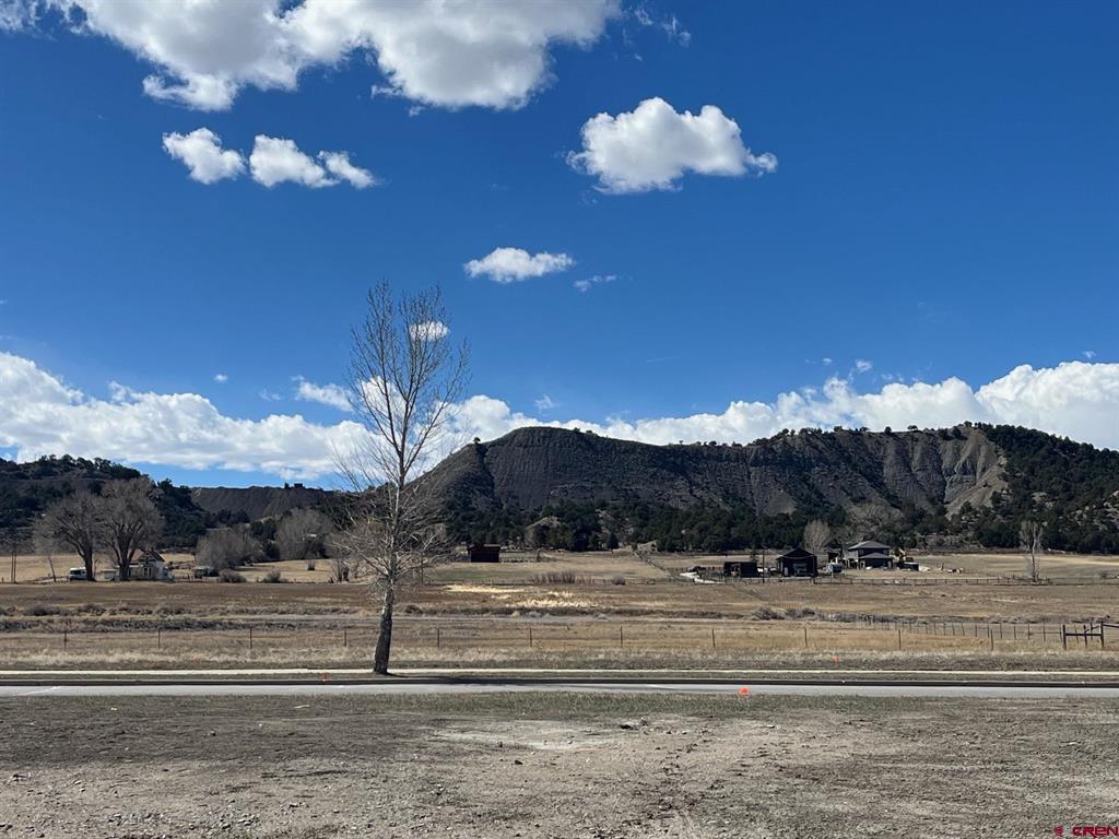 Lot 11 N Laura Street Ridgway CO 81432