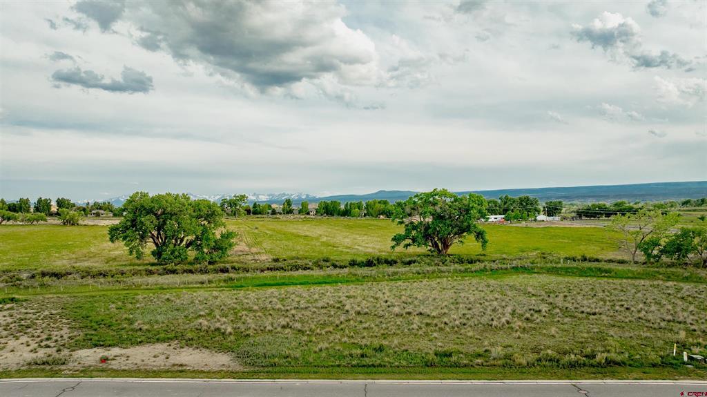 3310 Donnegal Drive Montrose CO 81401
