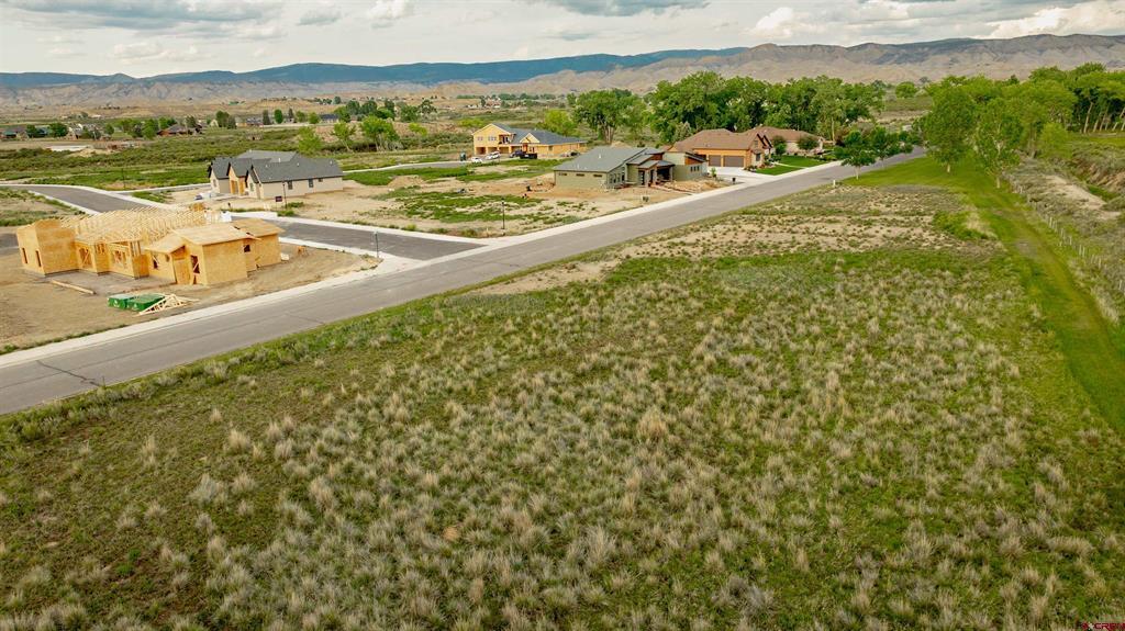 3310 Donnegal Drive Montrose CO 81401