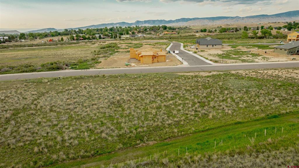3310 Donnegal Drive Montrose CO 81401