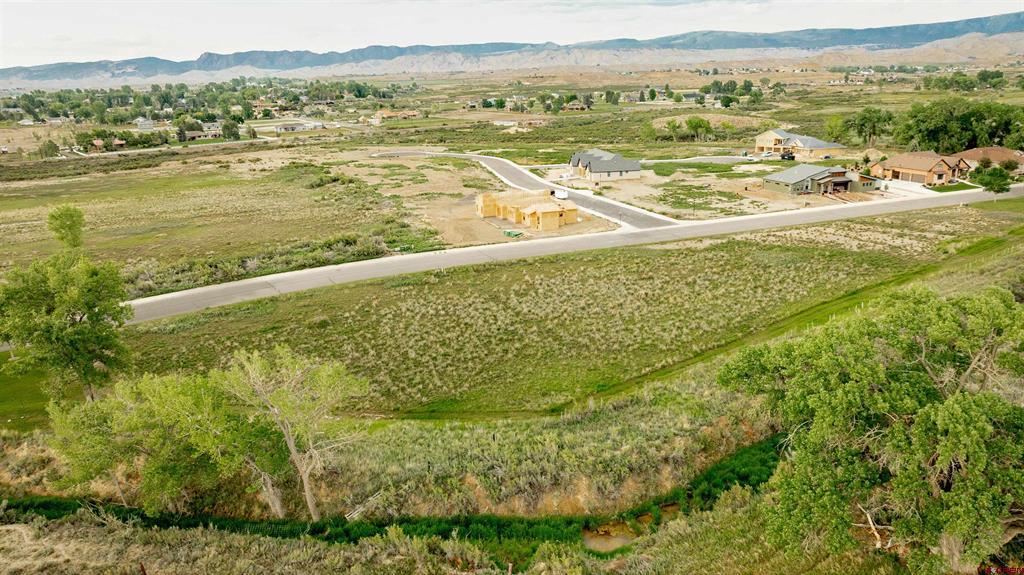 3310 Donnegal Drive Montrose CO 81401