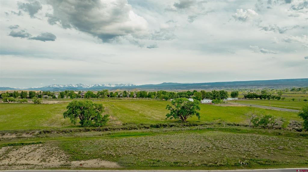 3310 Donnegal Drive Montrose CO 81401