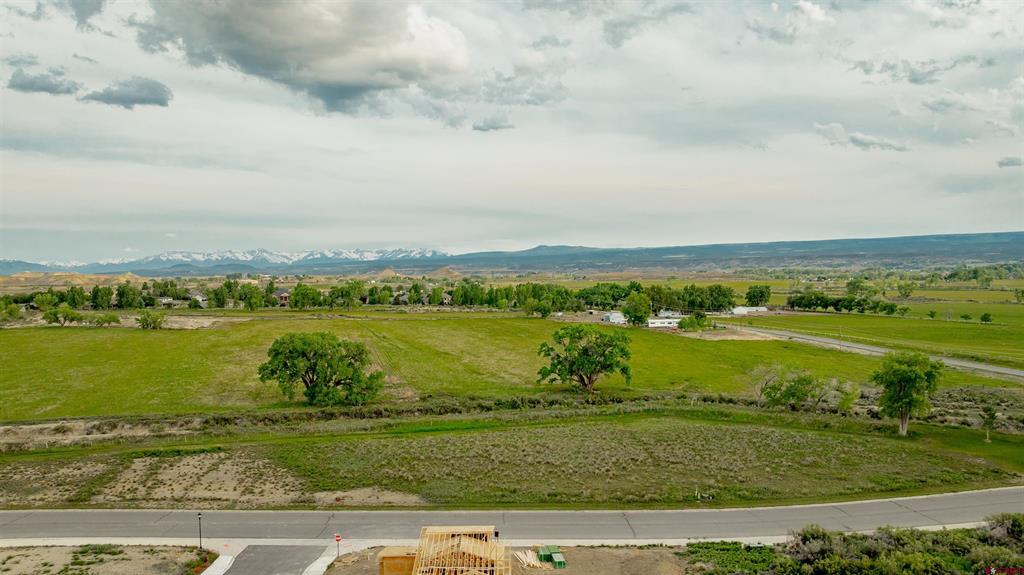 3310 Donnegal Drive Montrose CO 81401