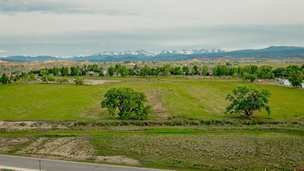 3310 Donnegal Drive Montrose CO 81401