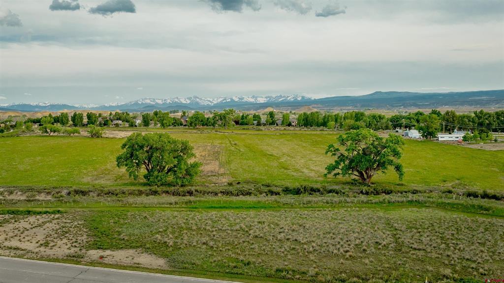 3310 Donnegal Drive Montrose CO 81401