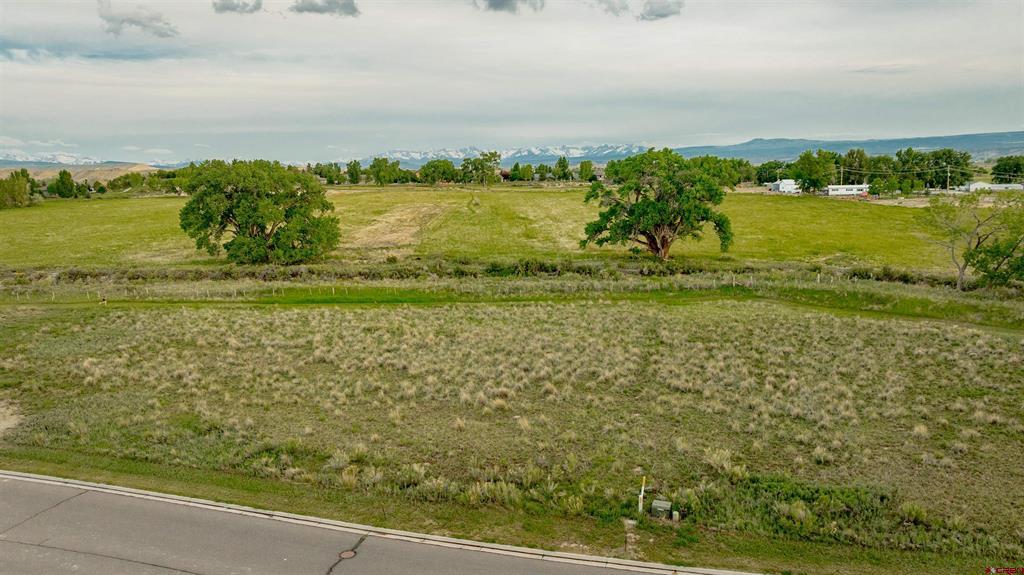 3310 Donnegal Drive Montrose CO 81401