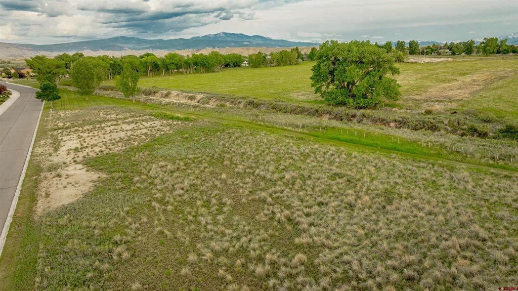 3310 Donnegal Drive Montrose CO 81401