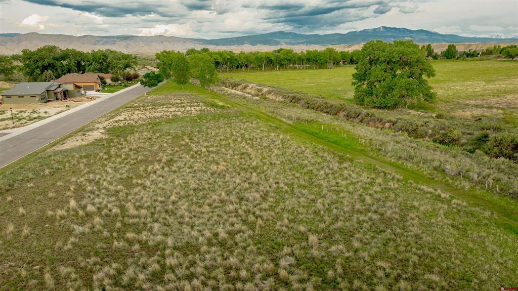 3310 Donnegal Drive Montrose CO 81401