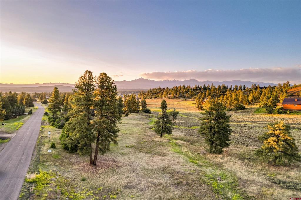 Pagosa Springs CO, 350 Bristlecone