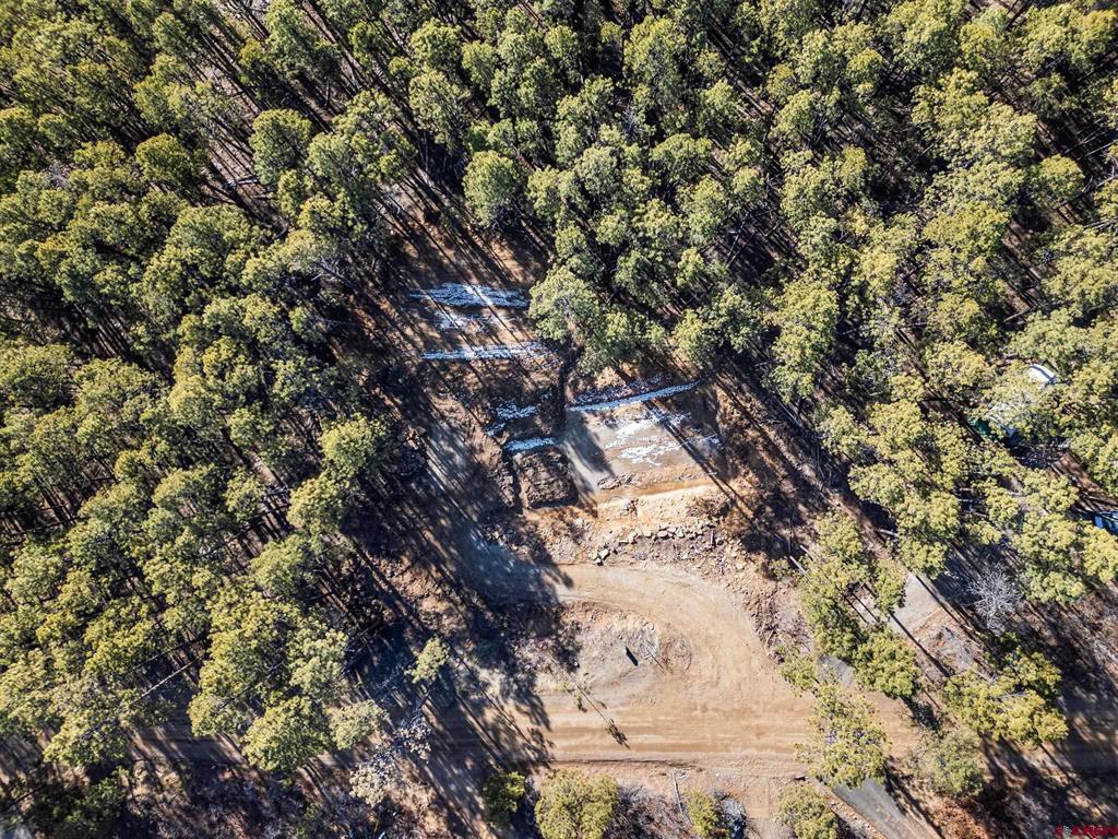 152 Elk Drive Bayfield CO 81122