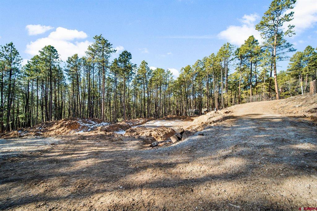 152 Elk Drive Bayfield CO 81122