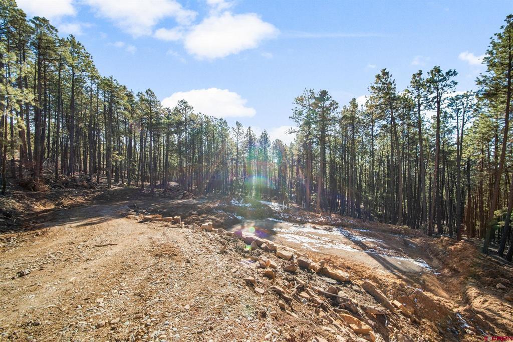 152 Elk Drive Bayfield CO 81122