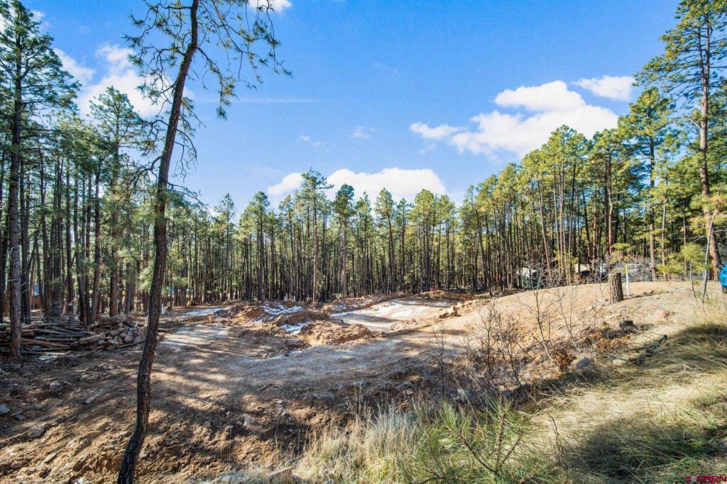 152 Elk Drive Bayfield CO 81122