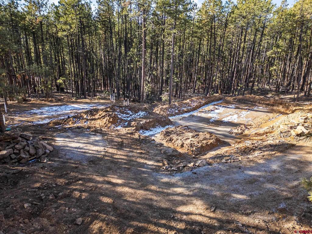 152 Elk Drive Bayfield CO 81122