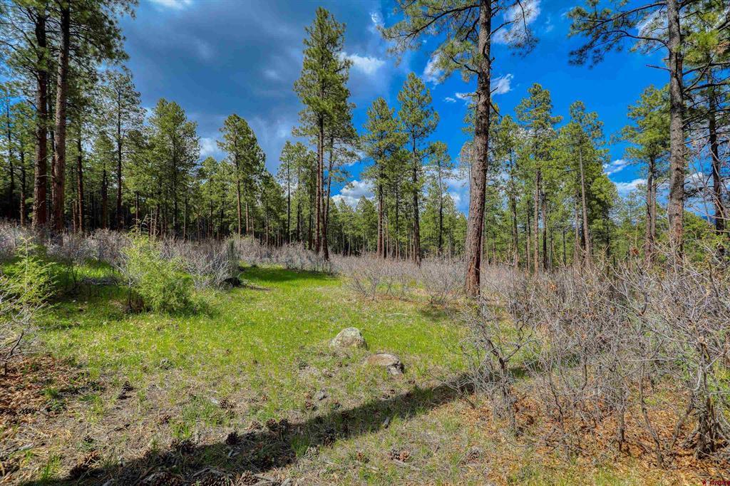 X Hidden Valley Drive Pagosa Springs CO 81147
