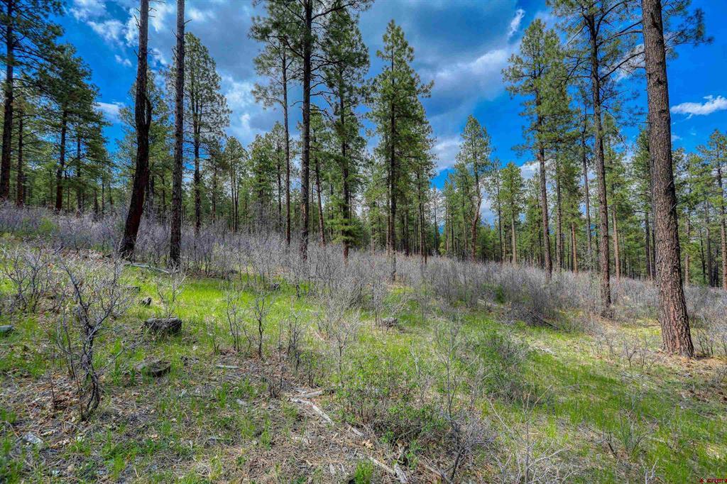 X Hidden Valley Drive Pagosa Springs CO 81147