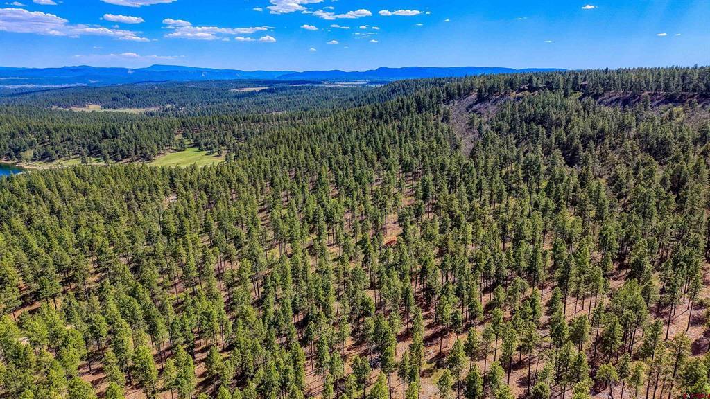 X Hidden Valley Drive Pagosa Springs CO 81147