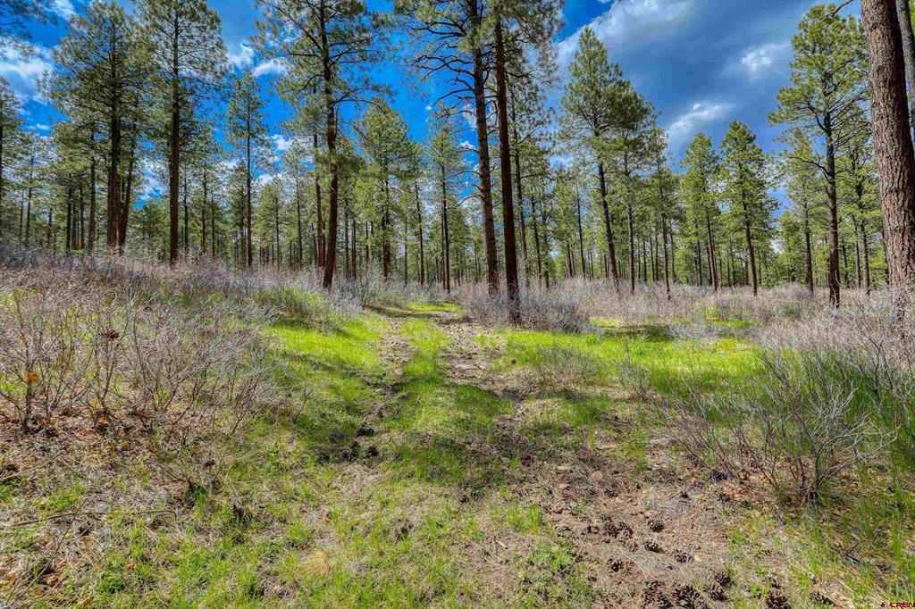 X Hidden Valley Drive Pagosa Springs CO 81147