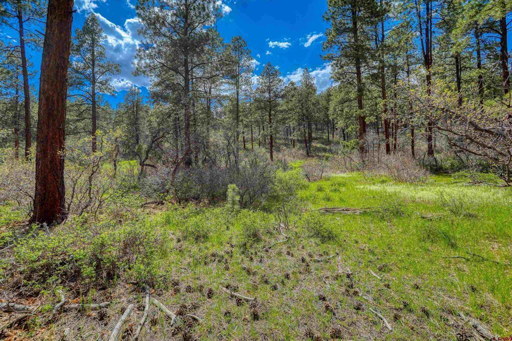 X Hidden Valley Drive Pagosa Springs CO 81147