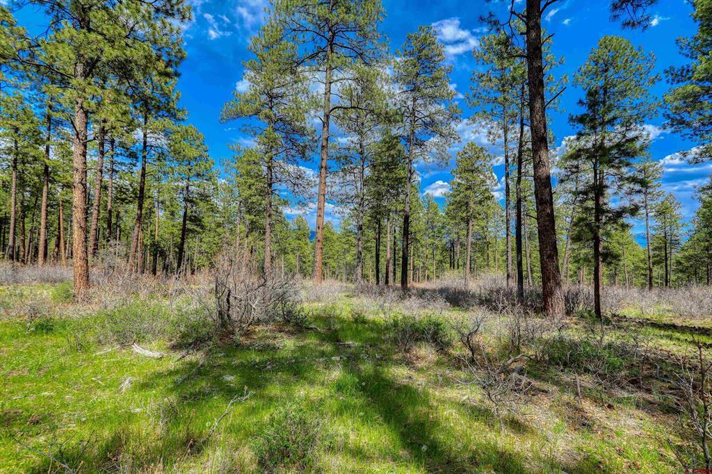 X Hidden Valley Drive Pagosa Springs CO 81147