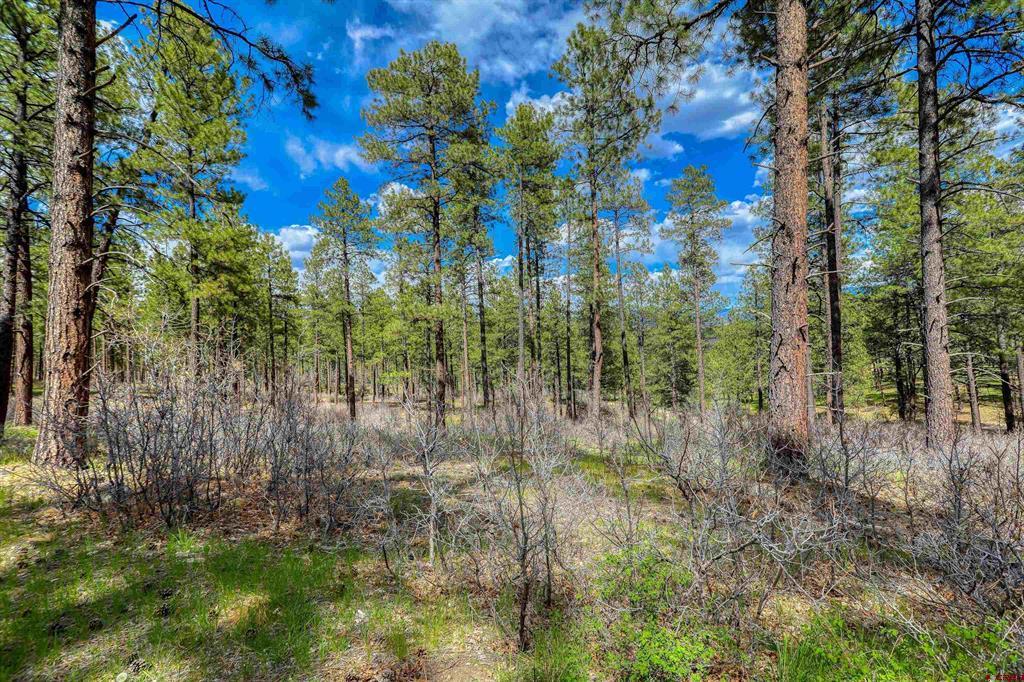 X Hidden Valley Drive Pagosa Springs CO 81147