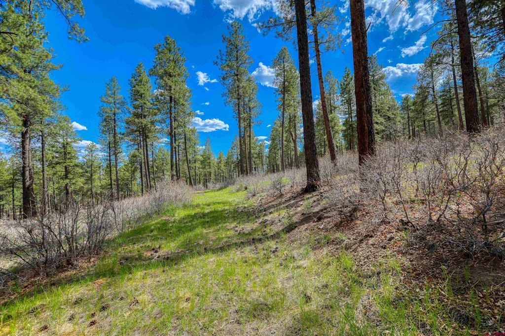X Hidden Valley Drive Pagosa Springs CO 81147