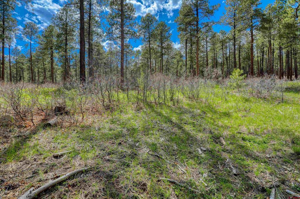 X Hidden Valley Drive Pagosa Springs CO 81147