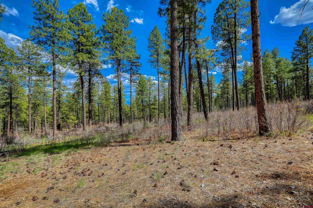 X Hidden Valley Drive Pagosa Springs CO 81147