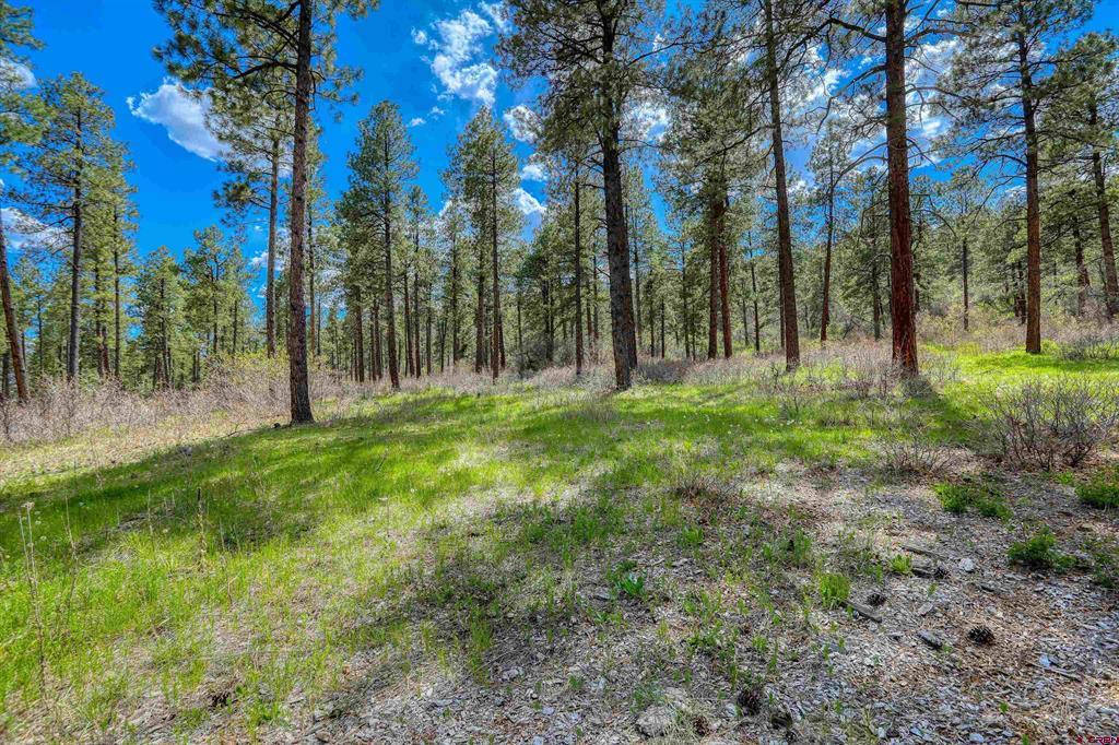 X Hidden Valley Drive Pagosa Springs CO 81147