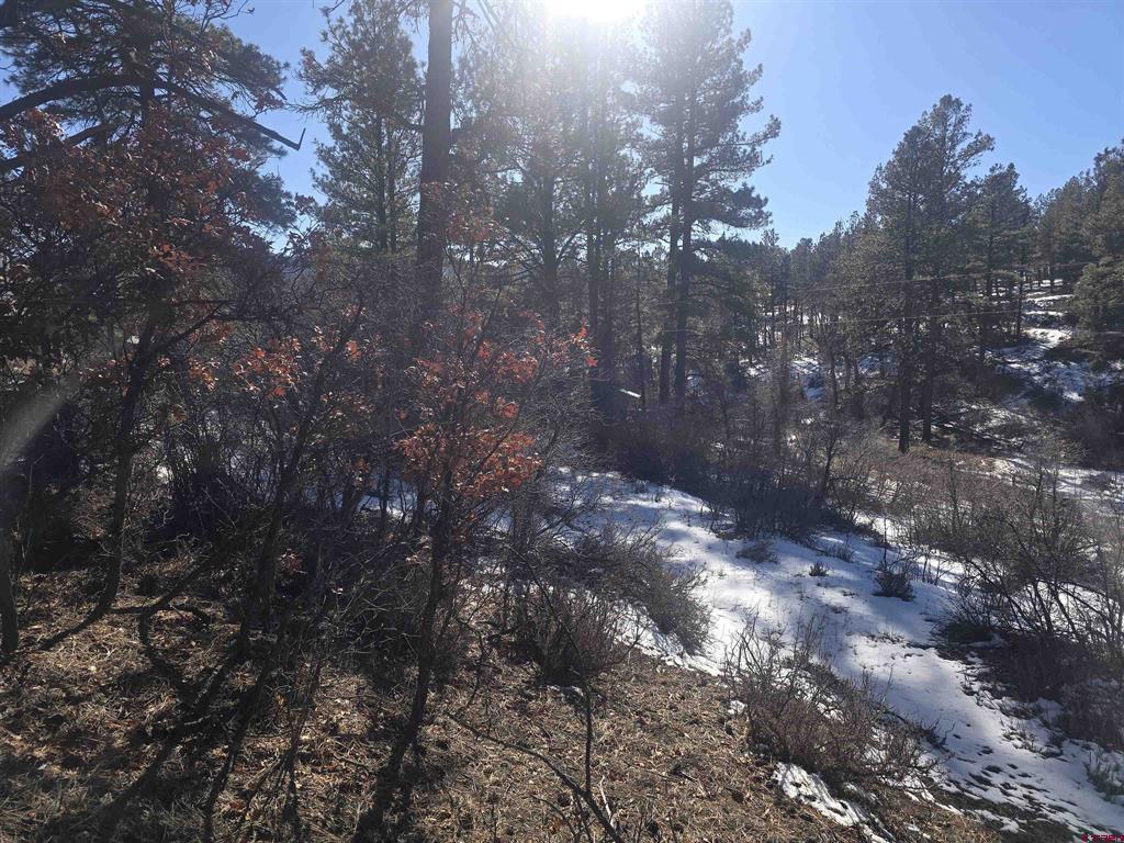 492 Circle Drive Pagosa Springs CO 81147