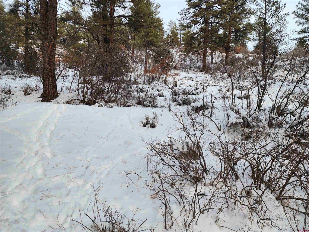 492 Circle Drive Pagosa Springs CO 81147