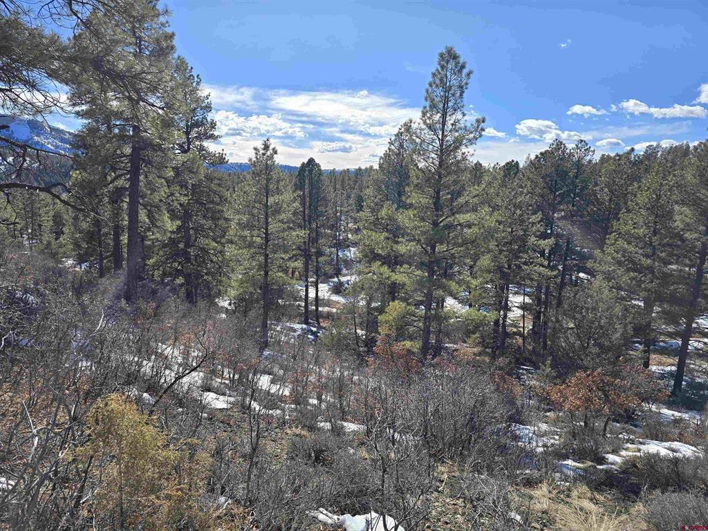492 Circle Drive Pagosa Springs CO 81147