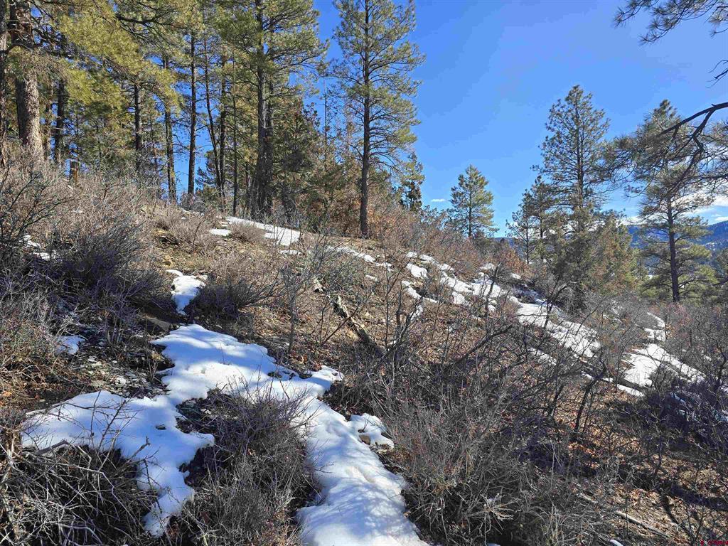 492 Circle Drive Pagosa Springs CO 81147