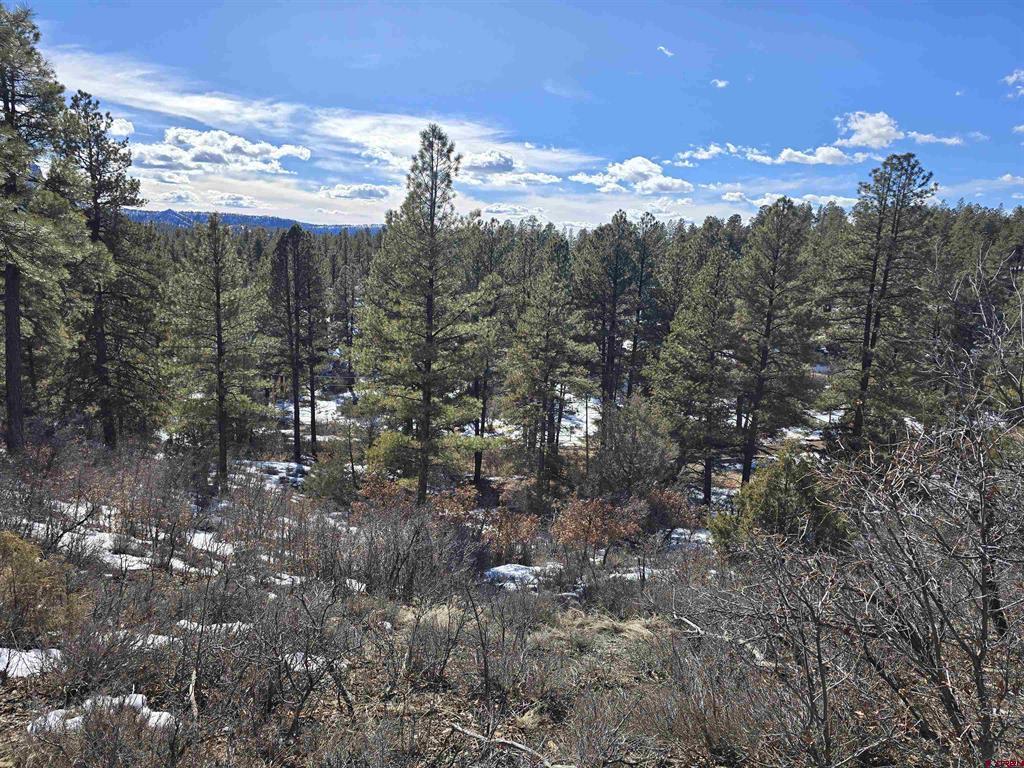 492 Circle Drive Pagosa Springs CO 81147