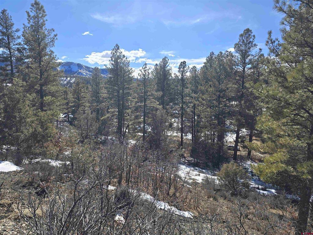 492 Circle Drive Pagosa Springs CO 81147